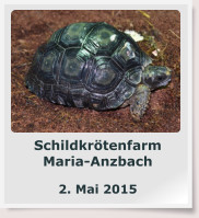 Schildkrötenfarm Maria-Anzbach  2. Mai 2015