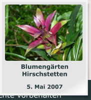 Blumengärten Hirschstetten  5. Mai 2007