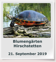 Blumengärten Hirschstetten  21. September 2019