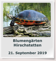Blumengärten Hirschstetten  21. September 2019