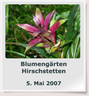 Blumengärten Hirschstetten  5. Mai 2007