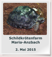 Schildkrötenfarm Maria-Anzbach  2. Mai 2015