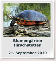 Blumengärten Hirschstetten  21. September 2019